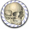 程序图标：Speed Bones MD