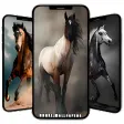 Horse Wallpapers