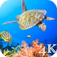 Icon of program: Turtle 4K Live Wallpaper