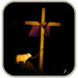 Icon of program: Bible Quiz Chapter By Chapter