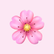 プログラムのアイコン：Flower