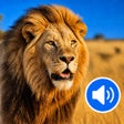 Ikona programu: Animal Sounds for Babies …