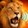 程序图标：Animal Sounds for Babies …