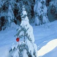プログラムのアイコン：Snowfall Living Desktop