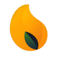 Ícone do programa: Mango VPN