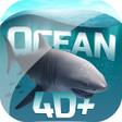 程序图标：Ocean 4D