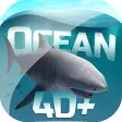 Ocean 4D