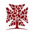 Symbol des Programms: My São João