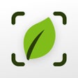 أيقونة البرنامج: Plant  Tree Identifier - …