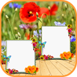 Icon of program: Nature Dual Frames Editor