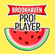 Icon of program: The ULTIMATE Brookhaven Q…