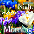 プログラムのアイコン：Good Morning Night flower…