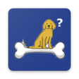 Icon of program: Animais Perdidos ou Adoçã…