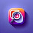 Ikon program: Insta Story Search