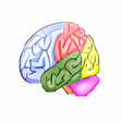 Icon of program: Brain Workshop