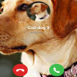 Programikonen: FunnyWithDog
