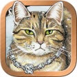 程序图标：Mystical Cats Tarot