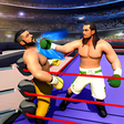Icon of program: Real Punch Boxing Champio…