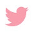 Ícone do programa: Twitter Pastel Palettes
