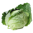 Cabbage from A to Z