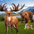 프로그램 아이콘: Jungle Hunting And Shooti…