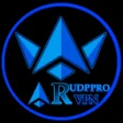 程序图标：AR UDP PRO VPN - Fast  Sa…