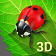 プログラムのアイコン：Bugs Life 3D Free - 3D Li…