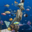 Icon of program: Big Kahuna Reef