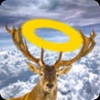 Ikona programu: Roadkill Art