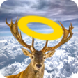 Icon of program: Roadkill Art