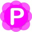 Programın simgesi: Pamela for Skype
