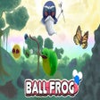 Ikon program: BallFrog