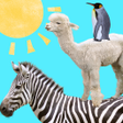 Icon of program: Animal Tower