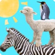 プログラムのアイコン：Animal Tower