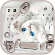 Icon of program: Innocent Cute Cat Keyboar…