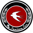 Programikonen: My Swallow Car Beta