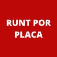 Runt Por Placa Info
