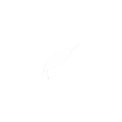 Icône du programme : Narwhal Facts
