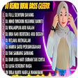 程序图标：Dj full senyum sayang vir…