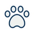 Icoon van programma: Random Animal Generator
