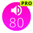 程序图标：80s Music Radio Pro