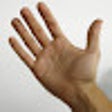 Icon of program: Make America's Hands Tiny…