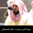 Icon of program: سورة الجن بصوت ماهر المعي…