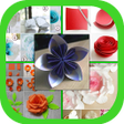 Icon of program: DIY Paper Flower Craft
