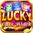 Icoon van programma: Lucky Cats Block