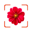 Icon of program: FindPlant - Plant identif…