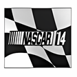 プログラムのアイコン：NASCAR '14