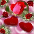 Ícone do programa: flowers beautiful picture…