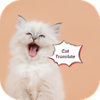 Ikon program: Cat Translate