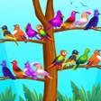プログラムのアイコン：Color Bird Sort Puzzle Ga…